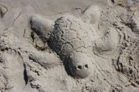 thiessow 02.-09.07.2011 262